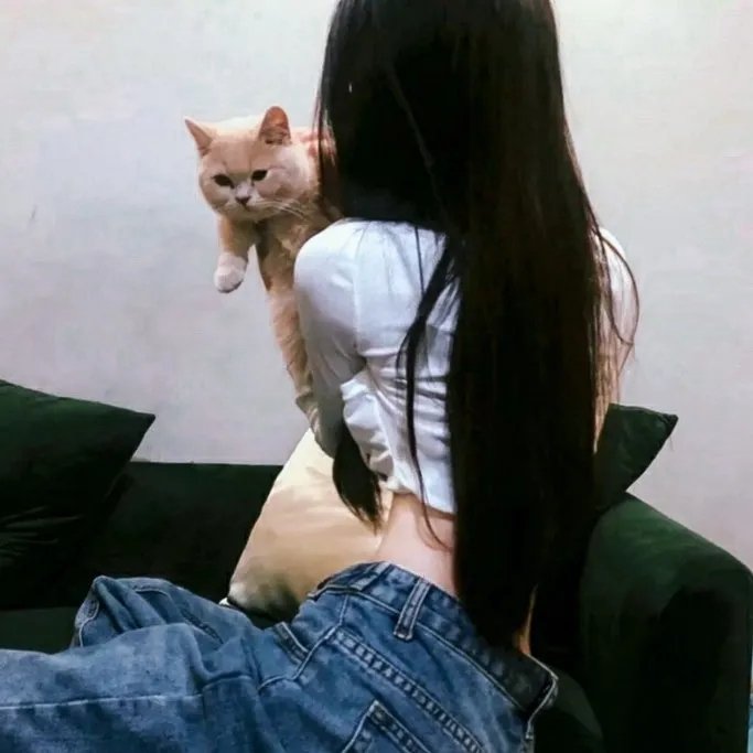 凡妮莎海辛第五季
